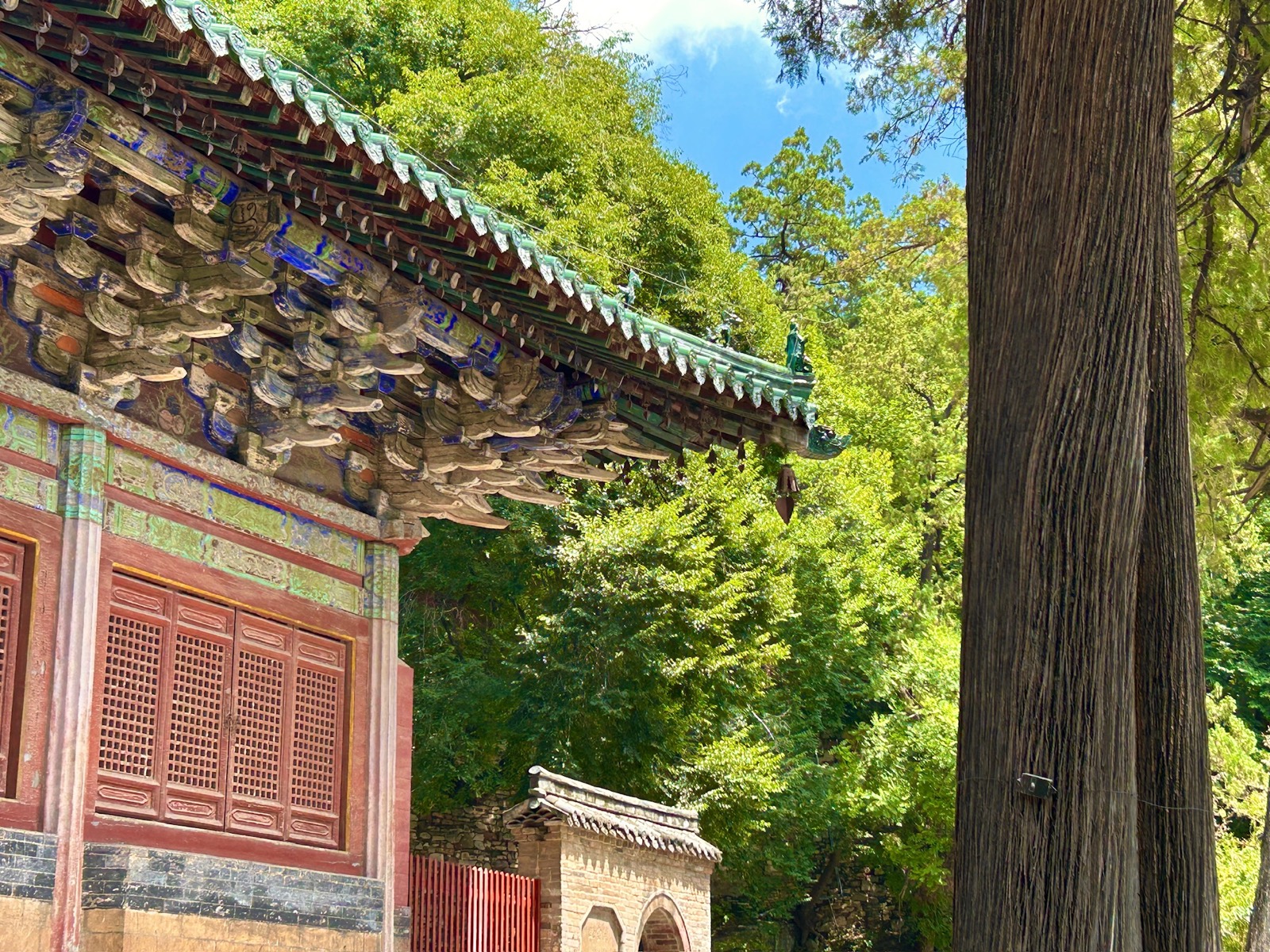 Temple eaves beside a tall tree in bright daylight